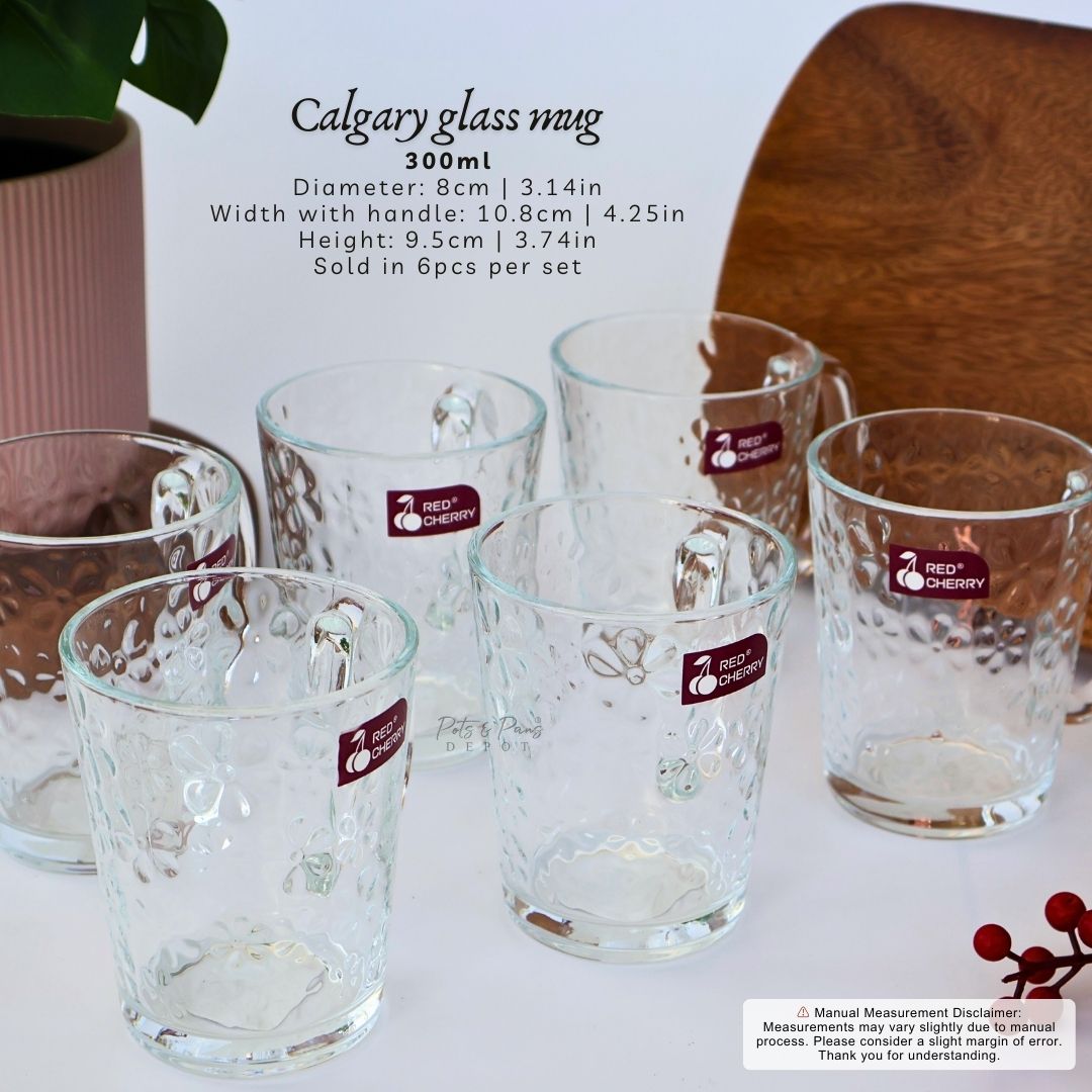 Calgary Glass Mug 6pcs Set 300ml