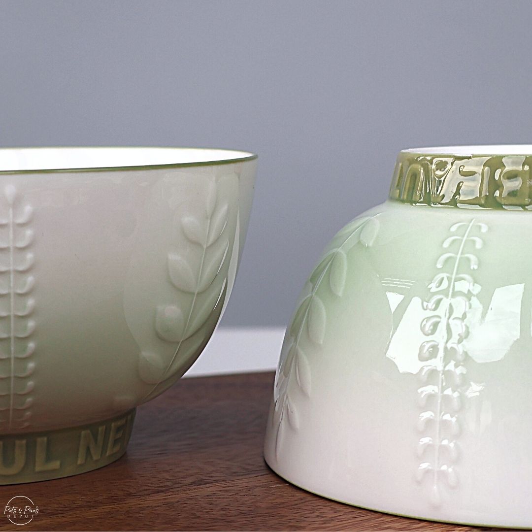 Ombre Vines Porcelain Soup Bowl